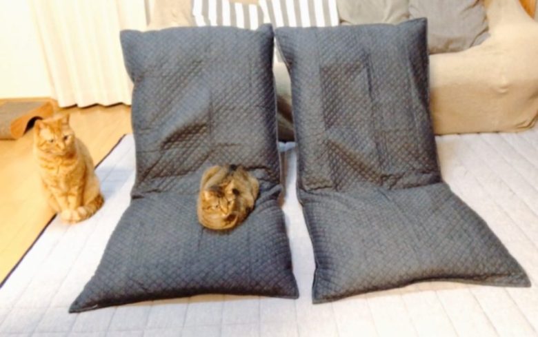 猫にボロボロにされた座椅子カバーを取り替える【選ぶ際のポイント紹介】 猫と素敵に暮らしたい